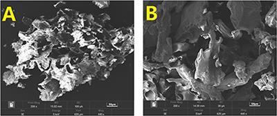 Physicochemical properties of dietary fiber of bergamot and its effect on diabetic mice